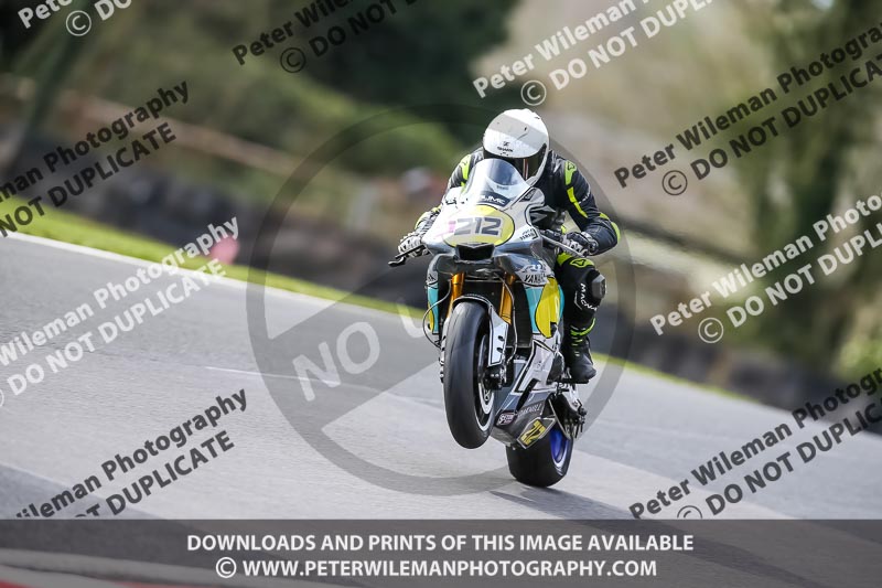 Oulton Park 21st March 2020;PJ Motorsport Photography 2020;anglesey;brands hatch;cadwell park;croft;donington park;enduro digital images;event digital images;eventdigitalimages;mallory;no limits;oulton park;peter wileman photography;racing digital images;silverstone;snetterton;trackday digital images;trackday photos;vmcc banbury run;welsh 2 day enduro